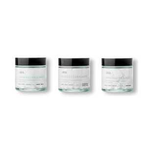 Coffret découverte — 3 chantilly
