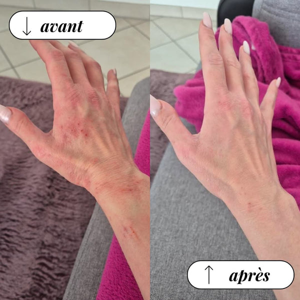 Coffret découverte — 3 chantilly